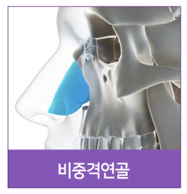 #14 코성형, 코끝 성형 재료, 코 구조부터 알아야 사진 7