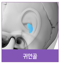 #14 코성형, 코끝 성형 재료, 코 구조부터 알아야 사진 8