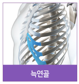 #14 코성형, 코끝 성형 재료, 코 구조부터 알아야 사진 6
